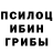 Псилоцибиновые грибы Psilocybe Mohlaroyim Gaybullayeva