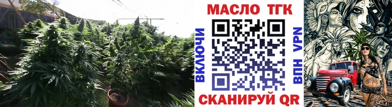 Купить где  Губаха  ТГК концентрат 