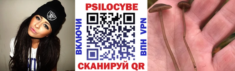Купить закладки  Губаха  Псилоцибиновые грибы прущие грибы 