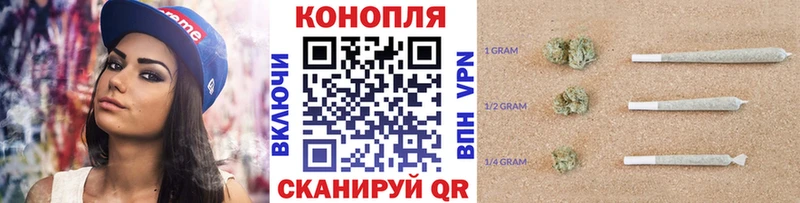 Купить закладки  Губаха  Бошки Шишки AK-47 